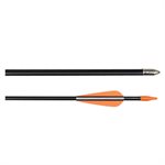 Set of 72 Fiberglass Arrows, 28" (71 cm)