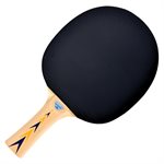 Raquette de tennis de table, bois 5 plis