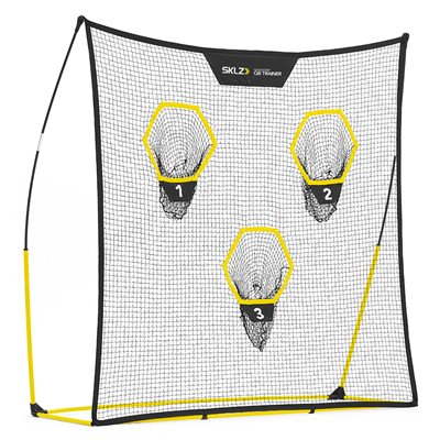 Quickster QB Trainer football net