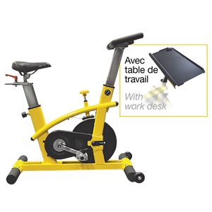 Stationary Bike with Work Desk